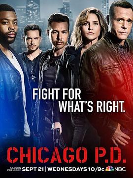 芝加哥警署 第四季第16集
