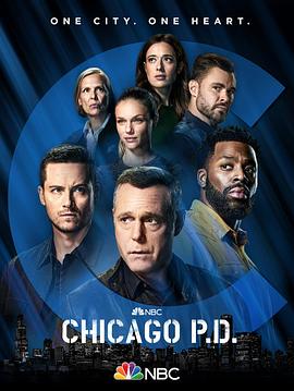 芝加哥警署第九季第09集